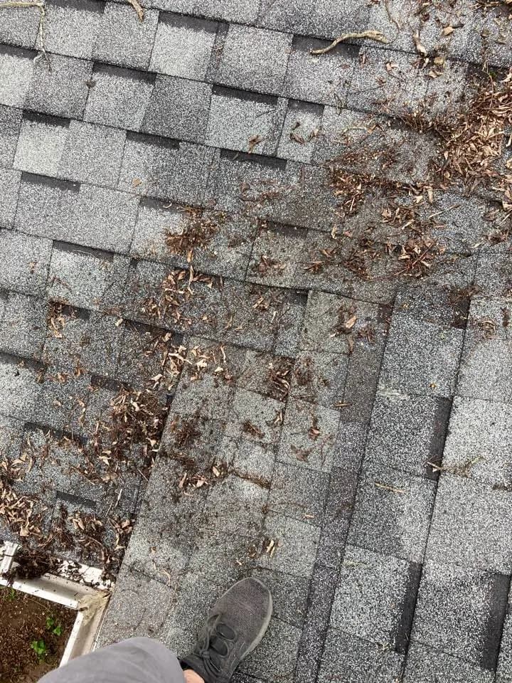 Leaves and pine needles collected in a shingle roof valley during a roof valley leak repair in Nashville