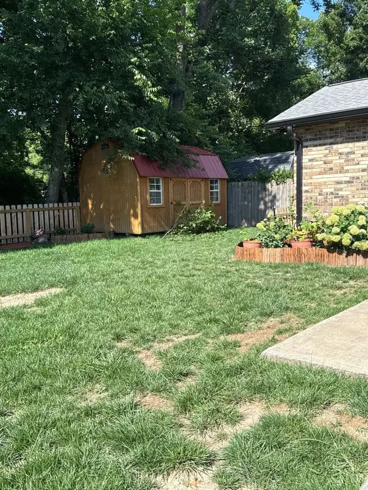 Shed roof repair., Nashville