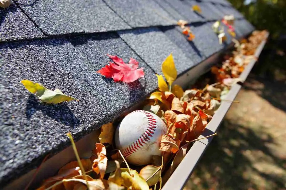 4 Things That Need To Be In Your Roof Maintenance Plan