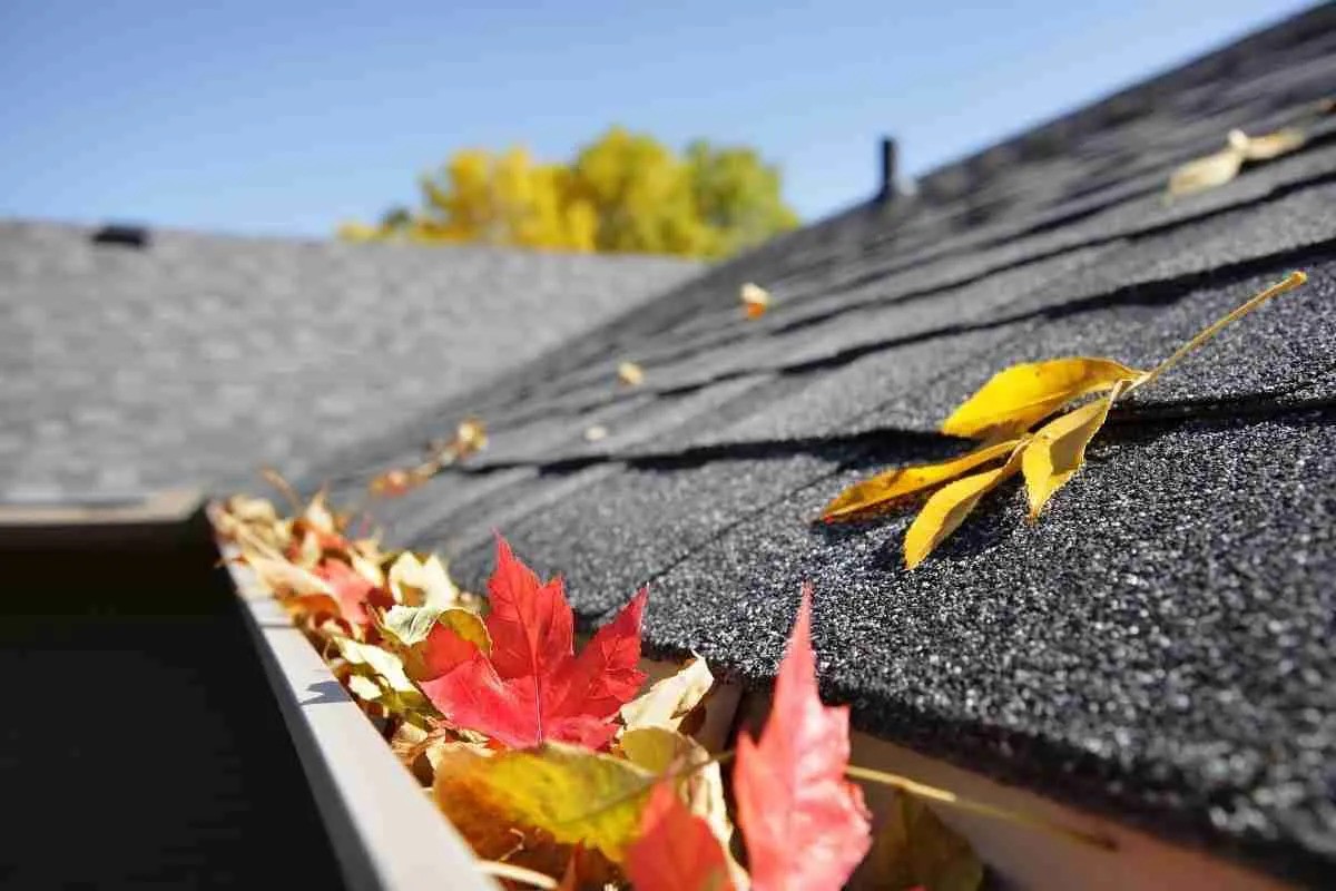 5 Long-Term Benefits of Investing in Our Roof Maintenance Plan