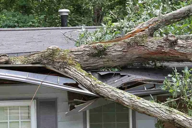 Storm Damage Roofing Repair