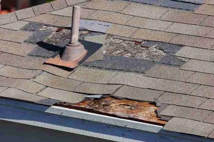 Signs You Have a Roofing Issue