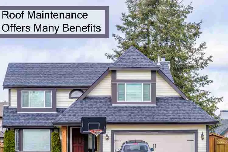 Understanding Roof Maintenance