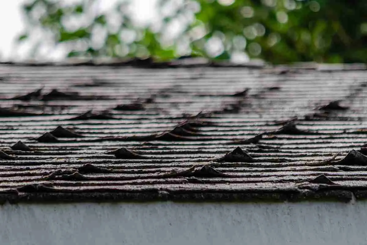 What You Need To Know About Age-Related Roofing Repairs