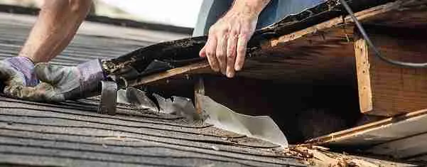 Hidden Dangers of Ignoring a Roof Leak